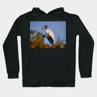 Speaking Stork Hoodie